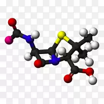 青霉素结合蛋白抗生素药物感染耐药