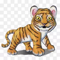胡须虎猫剪贴画-小老虎