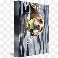 达尔马提亚犬拉布拉多猎犬画廊包相框画布拉布拉多犬