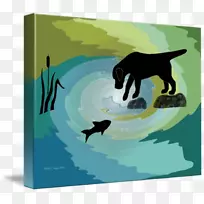 拉布拉多猎犬-拉布拉多犬