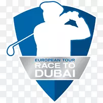 DP世界巡回赛，迪拜球员锦标赛PGA巡回赛世界高尔夫锦标赛-高尔夫