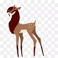 驯鹿鹿角白尾鹿夹艺术鹿头骨