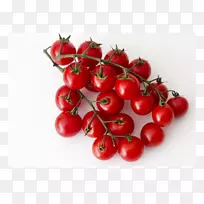 布什番茄樱桃番茄品种巴巴多斯樱桃