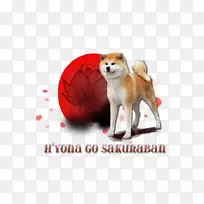 Shiba Inu Shikoku挪威午餐猎犬品种-秋田犬
