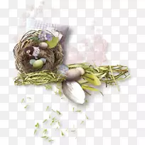 复活节兔子复活节蛋鸟巢-复活节