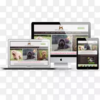 网站设计，拱门，拉布拉多，南湖经典宠物静修-设计