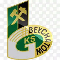 Stadion GKS bełChatów Ekstraklasa II Liga Stal Stalwa WOLA足球
