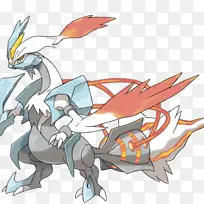 口袋妖怪黑白精灵黑2和白2 Kyurem Reshiram