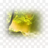 景观桌面壁纸沙特阿拉伯