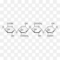 支链淀粉直链淀粉多糖淀粉