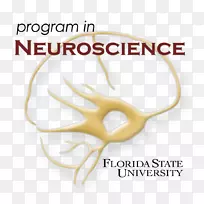 佛罗里达州立大学研究神经科学生物学