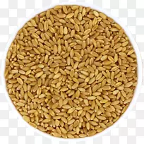 燕麦有机食品全谷物-有机农场