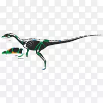 龙骨架侏罗纪恐龙