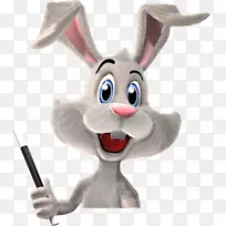 国内兔子复活节兔子魔术-兔子魔术