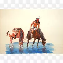 种马野马西部骑牛仔野马