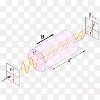 偏振光法拉第效应磁光效应磁性迈克尔法拉第