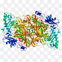 aoc3胺氧化酶(含铜)dna聚合酶基因