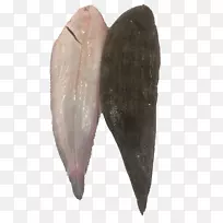 非洲石斑鱼