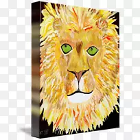 胡须，大猫科动物鼻子-犹大的狮子