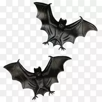 蝙蝠万圣节-蝙蝠