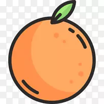 橙色电脑图标水果剪辑艺术-橙色