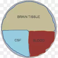 灰霉病蒙罗-凯利戈脑脊液假说头盖骨血