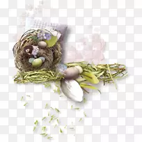 复活节兔子复活节蛋鸟巢-утята