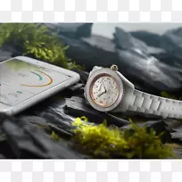 阿尔皮纳手表世界天文智能手表