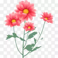 粉红色的花喜欢花的设计-花
