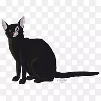 黑猫孟买猫家养短毛猫须-小猫