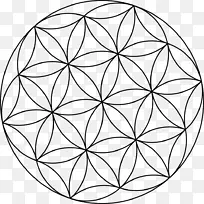重叠圆圈，网格，神圣几何学，花剪贴画-花