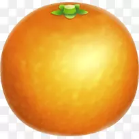 金门橙子橘子柚子橘子桔子