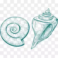 海蜗牛海贝壳山卡素描-蜗牛