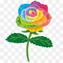 彩虹玫瑰颜色彩虹玫瑰花-玫瑰