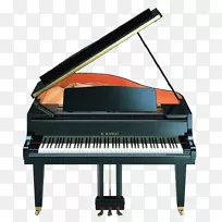 数字钢琴，电动钢琴，音乐键盘，琵琶演奏者，钢琴