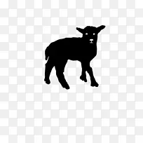 美利奴大角羊狗繁殖羔羊羊肉夹艺术山羊