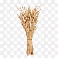 小麦穗茎摄影麦片-小麦