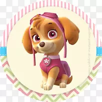 蛋糕生日蛋糕结婚蛋糕最上面的狗蛋糕