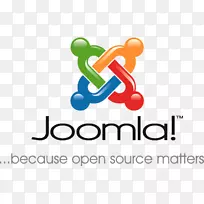 Joomla web开发内容管理系统教程数据库-WordPress