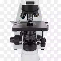 显微镜显微镜