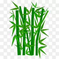 热带木本竹夹艺术树