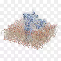 Technische Universit t Darmstadt分子动力学国际基因工程机器Yasara分子力学建模软件的比较