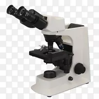 光学显微镜光学立体显微镜光