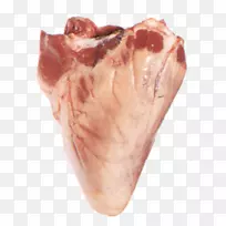 澳大利亚野马骆驼心脏杆菌骆驼内脏心包-心脏