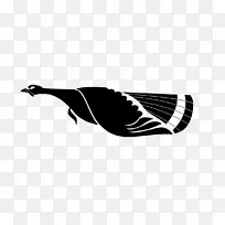 喙黑水鸟轮廓-鸟