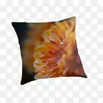 抛掷枕头垫橙菊花