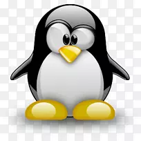 LinuxComputer软件Min克拉夫特计算机服务器android-linus torvalds