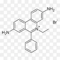 溴化安乙锭酚酞核酸化学化合物-其它