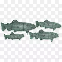 方形鲨鱼动物鱼-湖鳟鱼
