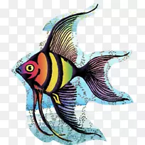 天使鱼海洋生物纹身-鱼